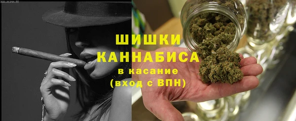 амф Бронницы
