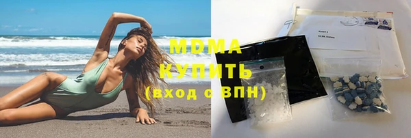 твердый Бородино