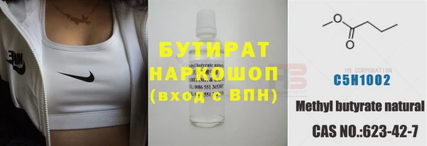 твердый Бородино