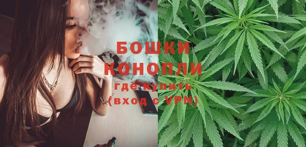 ГАЛЛЮЦИНОГЕННЫЕ ГРИБЫ Верхний Тагил